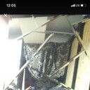 ���������� ���������, ���� ������� ����, 39 ���, ������������ ��� ������, ����� � ���������