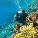 ���������� ���������, ���� ������� ����, 43 ����, ������������ ��� ������, ����� � ���������, c�������� ���������