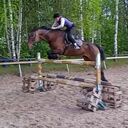 ���������� ������ ��������, ���� ������� �����, 49 ���, ������������ ��� ������, ����� � ���������, ���������