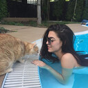 ���������� ����, ���� ������� ���, 35 ���, ������������ ��� ������, ����� � ���������, c�������� ���������