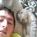 ���������� ���������, ���� ������� ������, 27 ���, ������������ ��� ������, ����� � ���������, c�������� ���������