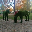 ���������� ���������, ���� ������� ������, 44 ����, ������������ ��� ������, ����� � ���������