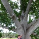 ���������� �����-���������, ���� ������� �������, 47 ���, ������������ ��� ����� � ���������, c�������� ���������