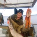 ���������� �����������, ���� ������� ������, 64 ����, ������������ ��� ������, ����� � ���������, c�������� ���������, ���������