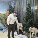 ���������� �����, ���� ������� �����, 30 ���, ������������ ��� ������, ����� � ���������, c�������� ���������