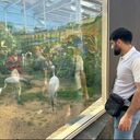 ���������� ������, ���� ������� �����, 29 ���, ������������ ��� ������, ����� � ���������