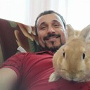  ,   , 44 ,   c 