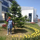  ,   , 52 ,   ,   , c 
