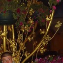 ���������� ������ ���, ���� ������� �����, 37 ���, ������������ ��� ������, ����� � ���������, c�������� ���������