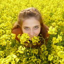 ���������� ���������, ���� ������� ��������, 31 ���, ������������ ��� ������, ����� � ���������, c�������� ���������