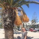 ���������� ������, ���� ������� �����, 64 ����, ������������ ��� ����� � ���������, c�������� ���������