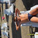  ,   Pet, 31 ,   