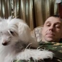 ���������� ���������, ���� ������� ���������, 38 ���, ������������ ��� ����� � ���������, c�������� ���������