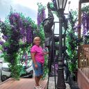  ,   , 41 ,   ,   , c , 