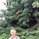  ,   , 60 ,   ,   