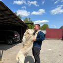  ,   Andy, 36 ,   ,   , c 