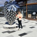 ���������� ������������, ���� ������� ����������, 66 ���, ������������ ��� c�������� ���������