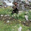  ,   Rom, 38 ,   ,   , c 