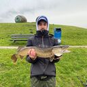 ���������� ���������, ���� ������� ����, 29 ���, ������������ ��� ������, ����� � ���������