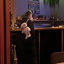 ���������� ���������, ���� ����� ���������, 20 ���, ������������ ��� ������, ����� � ���������, c�������� ���������, ���������