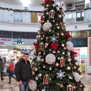 ���������� ������, ���� ������� ������, 36 ���, ������������ ��� ������, ����� � ���������, c�������� ���������