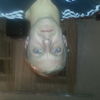  ,   , 45 ,   ,   , c 