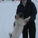  ,   AleX, 47 ,     , c 