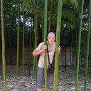 ���������� �������, ���� ������� ����, 37 ���, ������������ ��� ������, ����� � ���������