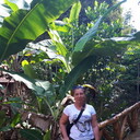 ���������� �����������, ���� ������� �����, 58 ���, ������������ ��� ����� � ���������, c�������� ���������