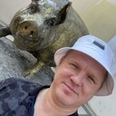 ���������� �������, ���� ������� ������, 38 ���, ������������ ��� ����� � ���������, c�������� ���������