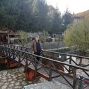  Sombor,   Dragoljub, 56 ,   ,   