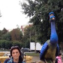 ���������� ������, ���� ������� �������, 58 ���, ������������ ��� ������, ����� � ���������, c�������� ���������