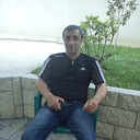  ,   Poma, 51 ,   