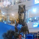 ���������� �������, ���� ������� 909537391, 38 ���, ������������ ��� ����� � ���������, c�������� ���������