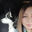  -,   , 31 ,   ,   , c , 