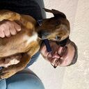 ���������� �����������, ���� ������� ����, 47 ���, ������������ ��� c�������� ���������