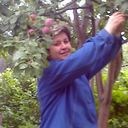 ���������� ���������� �����, ���� ������� ������, 52 ����, ������������ ��� ����� � ���������, c�������� ���������