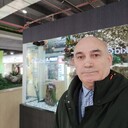  ,   Stepanov, 68 ,     , c 