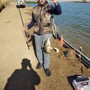 ���������� �������, ���� ������� ������, 38 ���, ������������ ��� ������, ����� � ���������, c�������� ���������