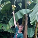 ,   Chocolatebo, 33 ,     , c 