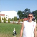  ,   , 40 ,   , 