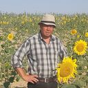  ,   , 48 ,   c , 