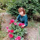  ,   , 64 ,   c 