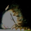  ,   , 38 ,   