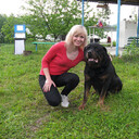 ���������� ���������, ���� ������� �������, 48 ���, ������������ ��� c�������� ���������