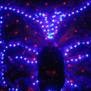 ���������� �������, ���� ������� ���, 41 ���, ������������ ��� ����� � ���������, c�������� ���������