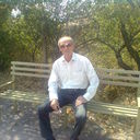  ,   Vache, 68 ,   
