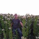 ���������� �����, ���� ������� ����, 39 ���, ������������ ��� c�������� ���������