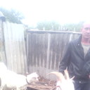   ,   , 43 ,   ,   , c 