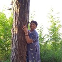 ���������� ��������, ���� ������� ����, 68 ���, ������������ ��� ������, ����� � ���������